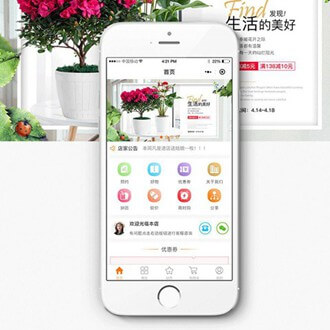 渝北门店微商城小程序开发