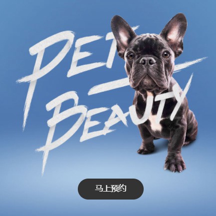 渝北宠物中心小程序开发