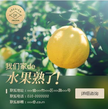 渝北果园果林小程序开发